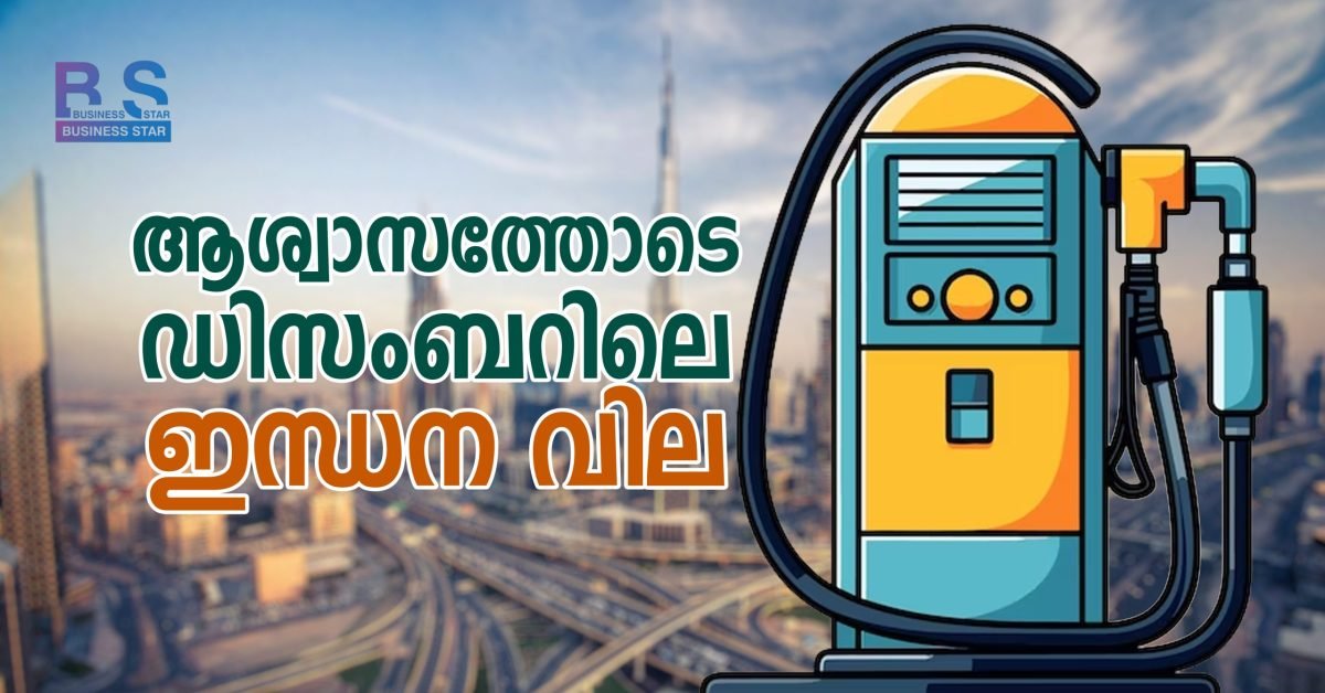 DECEMBER PETROL DISEL